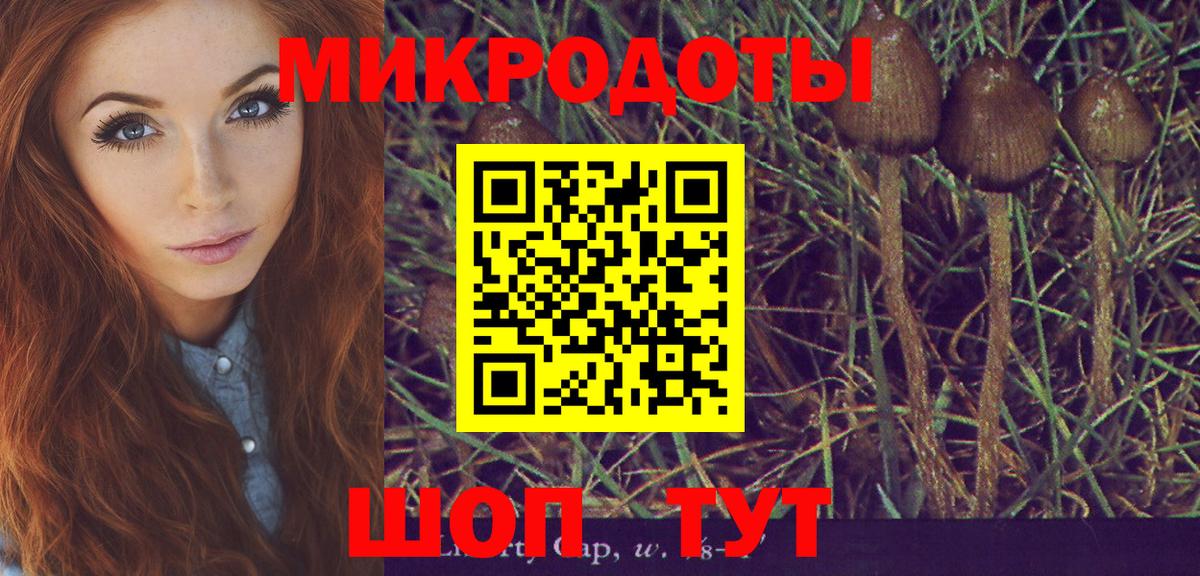 что такое   Псилоцибиновые грибы мицелий  Вход с VPN  Феодосия 