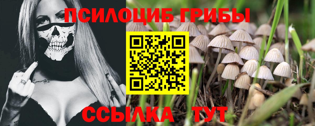 Псилоцибиновые грибы Cubensis Феодосия